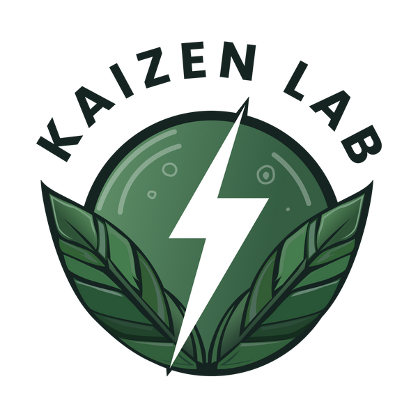 Kaizen Lab